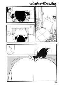 [Kaimeiji Yu] Volunteer Breeding