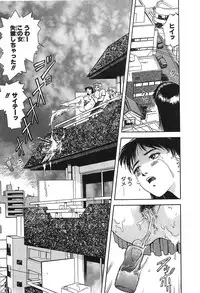 [Nagareboshi Kai] Tenshi no Seitai | Angel Life