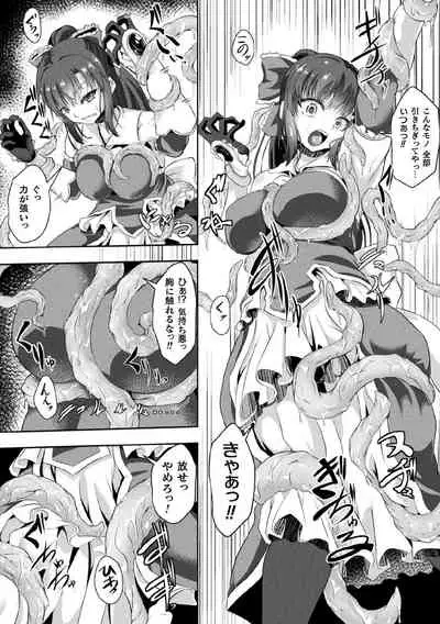 Kukkoro Heroines Vol. 11