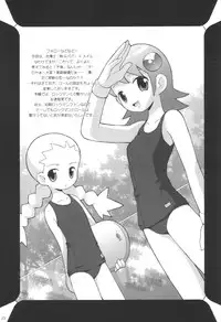 (C60) [Bakuhatsu BRS. (B.TAROU)] Maintenance (Megaman Battle Network)