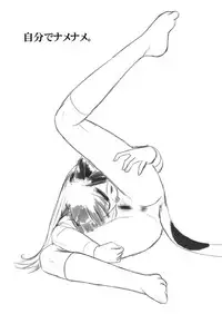 [Nighthawk Project (Nighthawk)] Minamike (Minami-ke) [Digital]