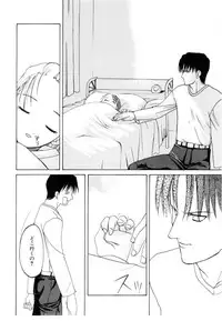 [Iwama Yoshiki] Cherry Blossom