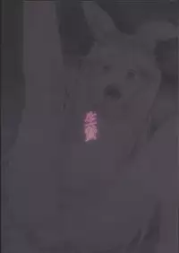 (C81) [AHOBAKA (aho)] Ikenie