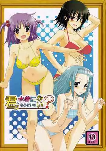 (COMIC1☆3) [Many Menu (Kondate)] Kimi wa Mizugi ni Naranai no kai? (Hayate No Gotoku!)