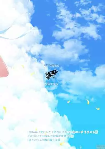 夏のたけなわ 晩夏の候