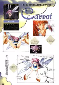 (一般画集) [elf] WORDS WORTH 完全ガイド