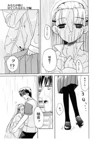 [Iwama Yoshiki] Cherry Blossom