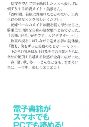 年上メイドの新婚日記