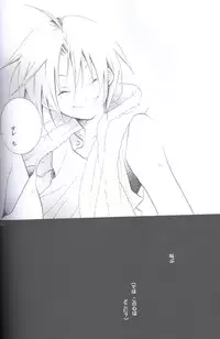 [Hakai Ryouiki (Yasuhara Yuki)] SUPER ordinary SEX (Fullmetal Alchemist)