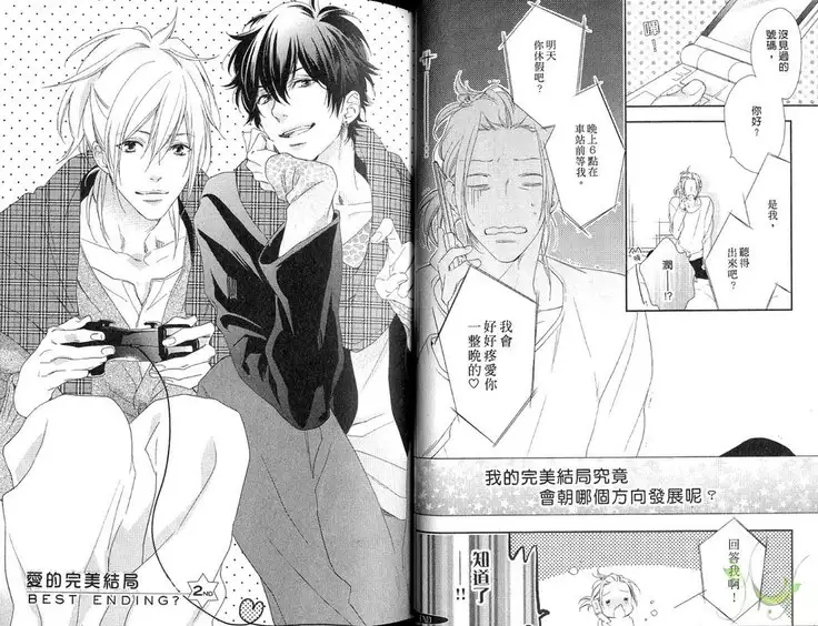 Best Ending? | 愛的完美結局?