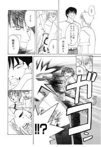 [Iwama Yoshiki] Cherry Blossom