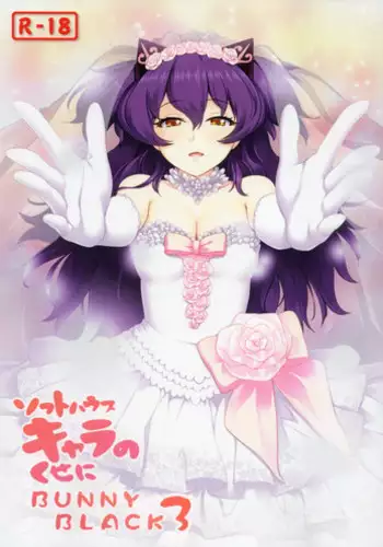 (C86) [Tamatebako (Sasaki Tamaru)] Softhouse Chara no Kuseni BUNNYBLACK 3