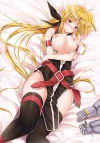 (C82) [IV VA SHIN (Mikuni Mizuki)] Home Sweet Home ~Fate hen 3~ (Mahou Shoujo Lyrical Nanoha)