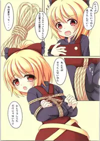 (C87) [Yamaneko Jinja (John Inu)] Journey Into Underground (Touhou Project)