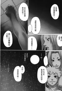 [Kishimoto Saisi] naruto ninja biography vol.06 (naruto) [chinese]