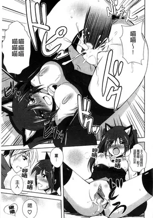 Sensei to | 和老師一起