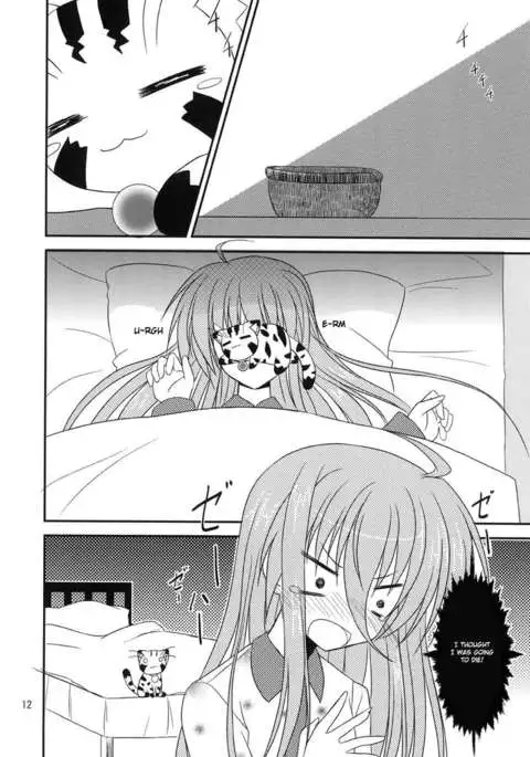 Proper Usage of Your Device