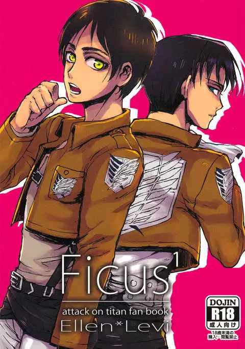 Ficus¹