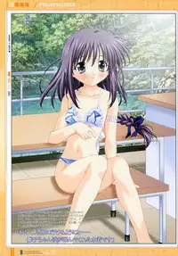 (C73) [Hiyotama Goten (Nagase Yutaka)] Sisters File (Sister Princess)