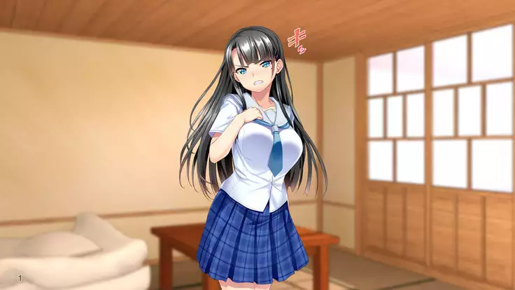 Ojou-sama Choukyou! Takabisha Onna ga Youmuin Chinpo de Kairakuochi!