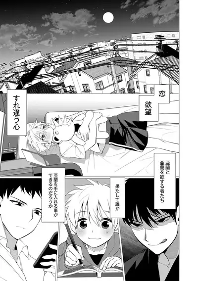 Yankee Ketsuman Ganbori Rape