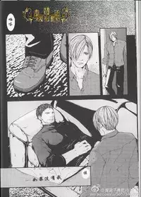 生化危机：终结 [中文]