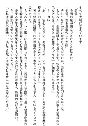 年上メイドの新婚日記