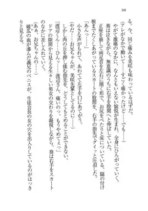あおい 妹と生徒会長