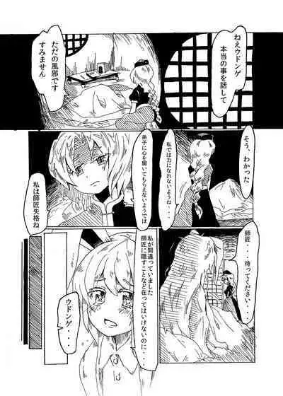 [兎猫旅団 (七房ろい)] 悪戯兎にお仕置きを (東方Project) [DL版]