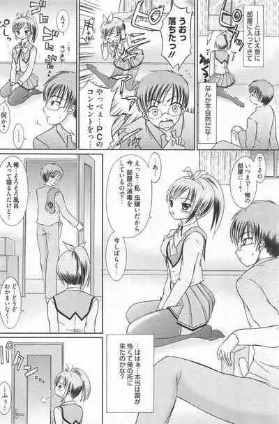 Manga Bangaichi 2010-12