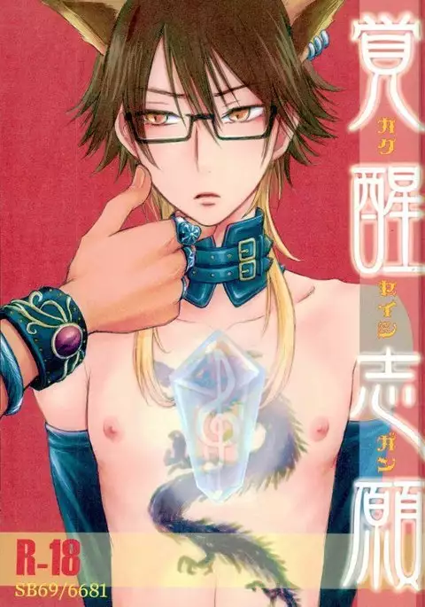 覚醒志願/カクセイシガン