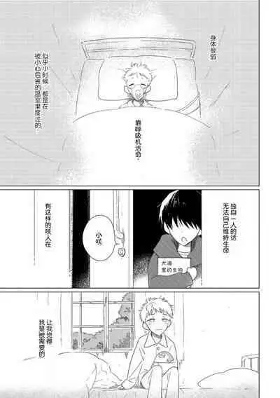 Can't Help Fall in Love