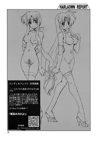 (C73) [WARP LOOP (45ACP)] HARLAOWN REPORT (Mahou Shoujo Lyrical Nanoha)