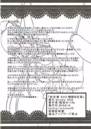 紗矢華BAD増補改訂版