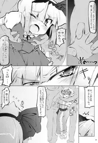 (Reitaisai 8) [Narumiya] Hitaishousei Kyousei Shuujuu Soukangi (Touhou Project)