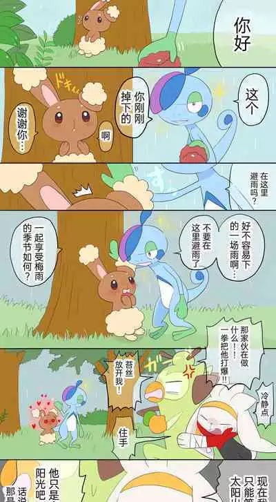 |宝可梦的故事（呜鸟木个人汉化组）