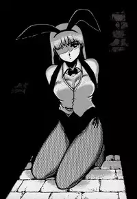 [Azuma Kyouto] Leotard Connection