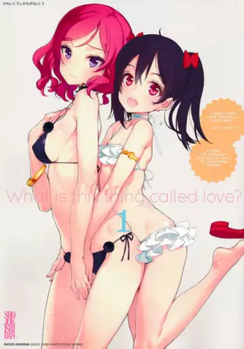 (C86) [Shoujo Kishidan (Oyari Ashito)] What is this thing called love? 1 (Love Live!) [English]