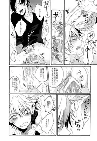 (CCOsaka79) [Zerohaku (Fuji Mako)] BUKURO No Shizuusagi (Durarara!!)