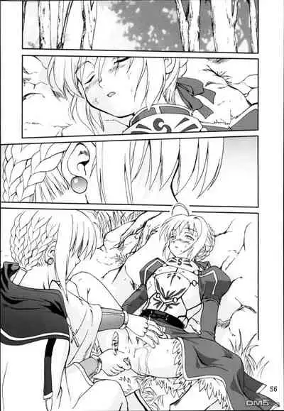 (C66) [Takotsuboya (TK)] King Arthur (Fate/stay night)(chinese)