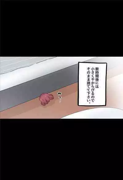 Insutanto Shokushu